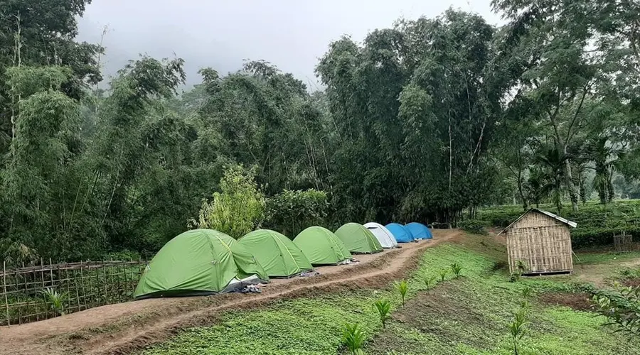 Camping In Madhya Pradesh
